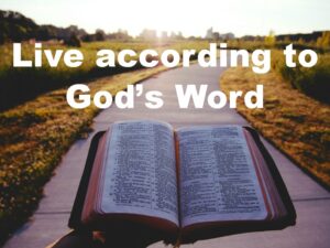 After we have read and believed God's Word, we should then obey God's Word. Obedience to God's Word is proof that we believe what we read.